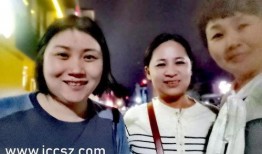 雷子爆料苏菲视频大全,苏菲视频大全背后的惊人真相